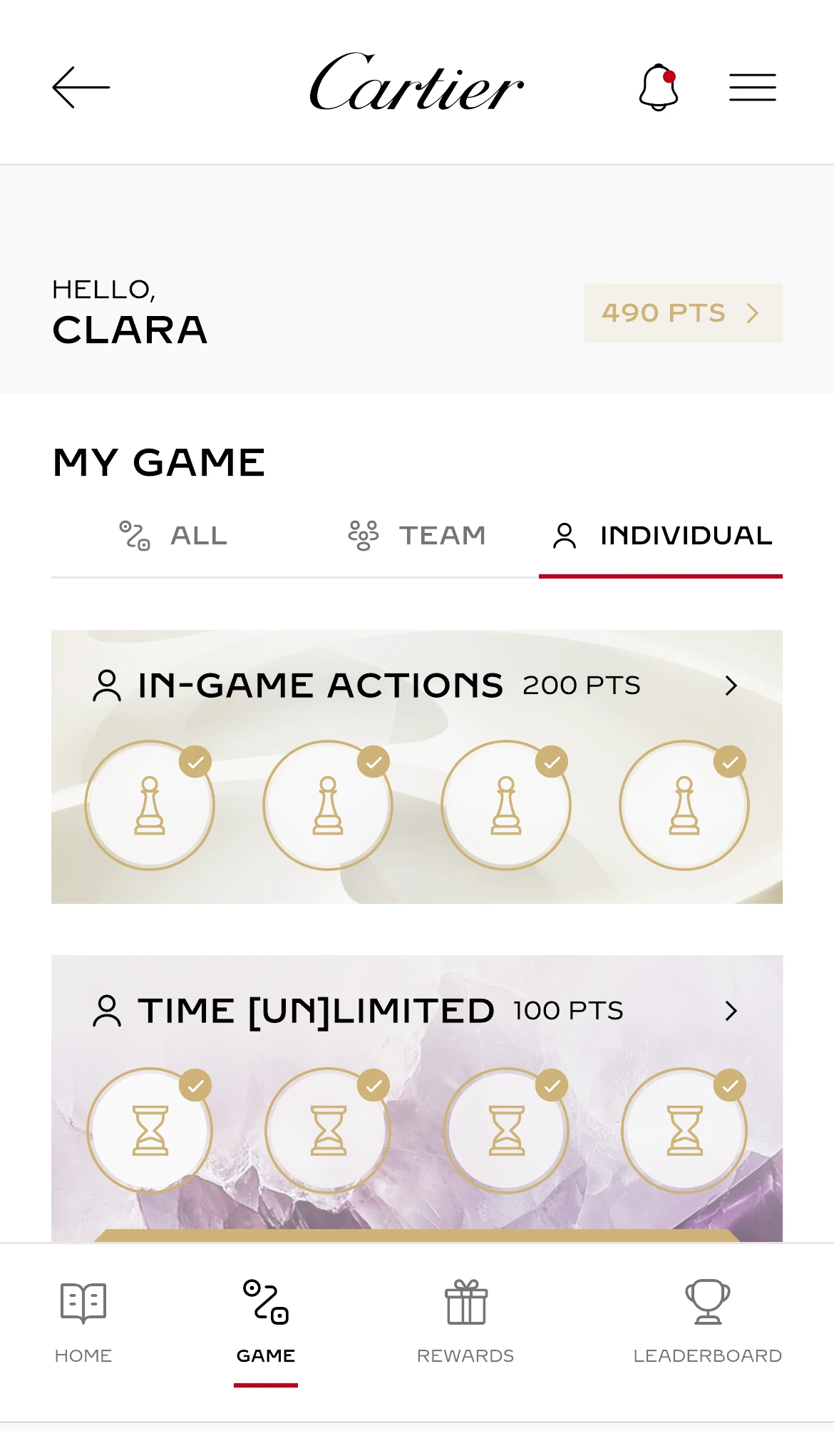 The Individual view of the game board