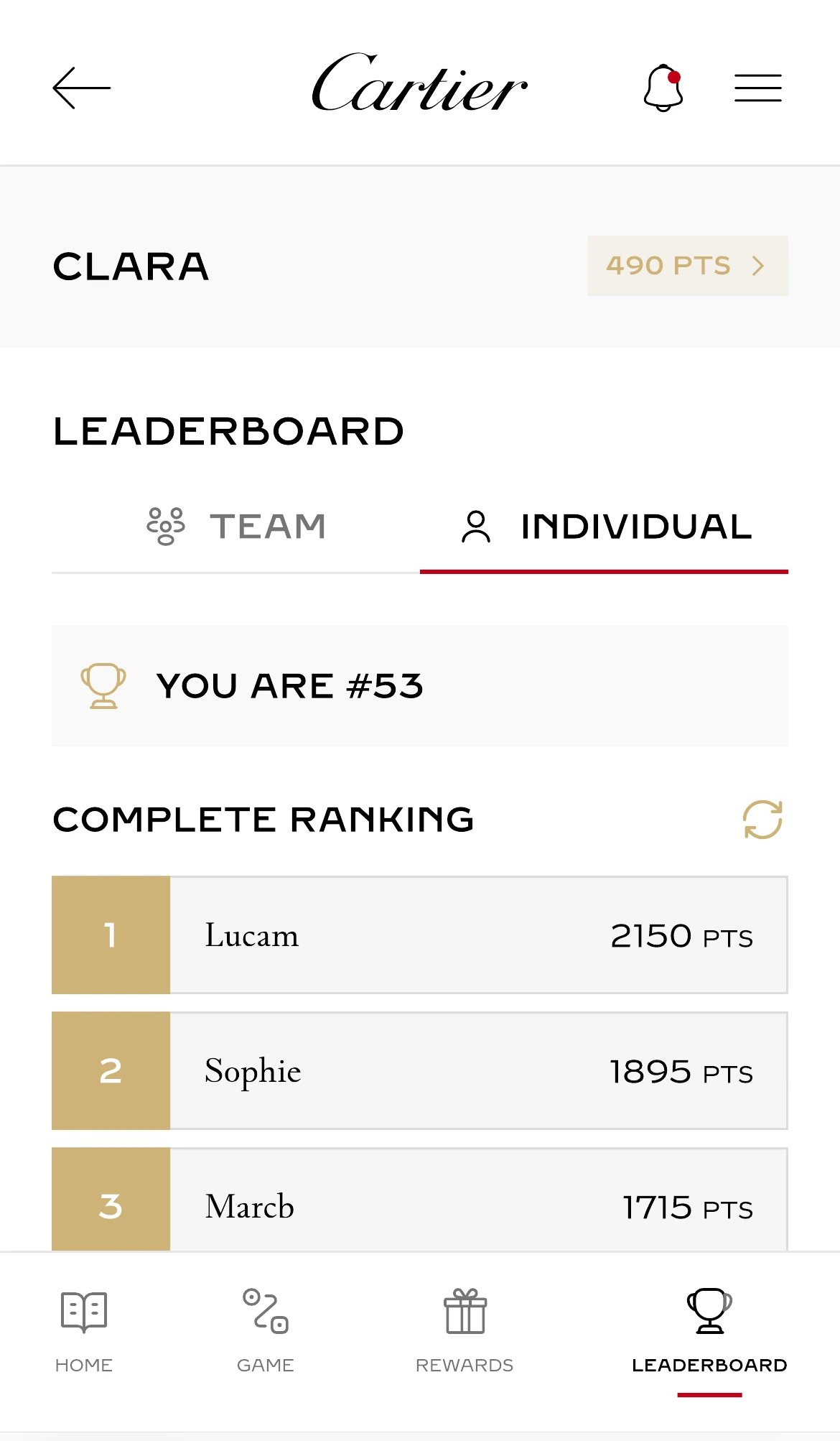 The individual leaderboard showing the participant’s own position and the ranking above them